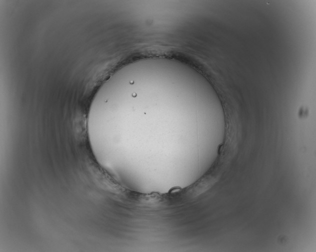 X0000111210624200907151439