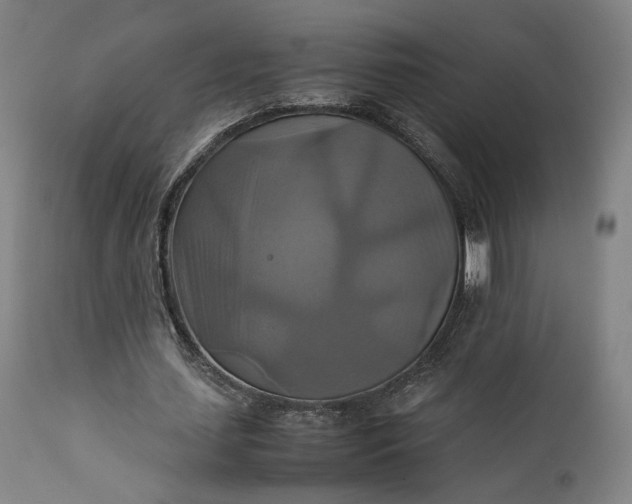 X0000111210627200907151438