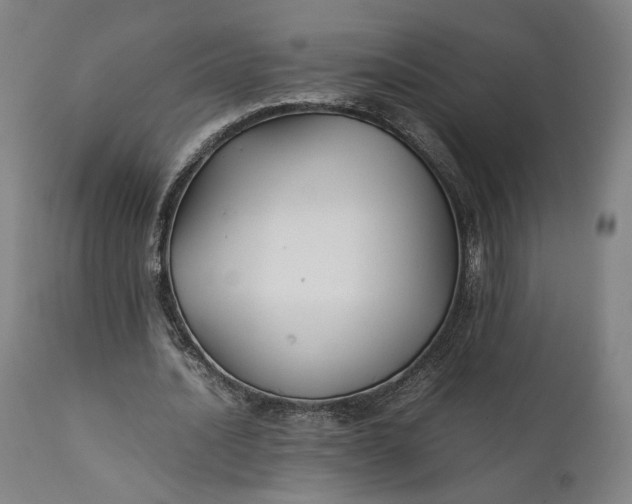 X0000111210628200907151438