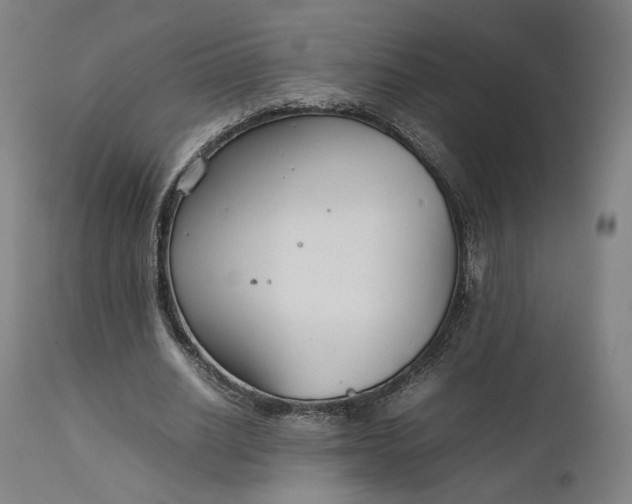 X0000111210630200907151438