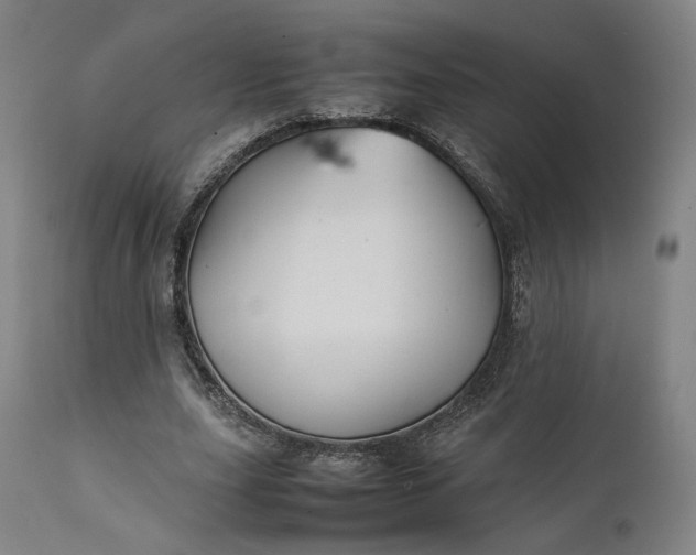 X0000111210631200907151438