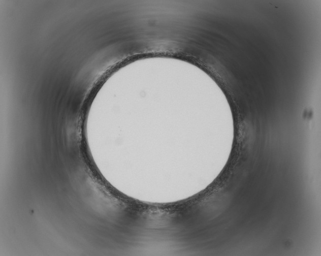 X0000111210632200907151438