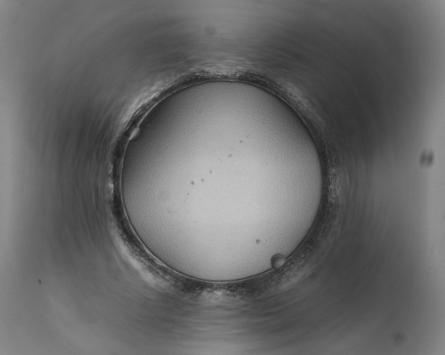 X0000111210634200907151438