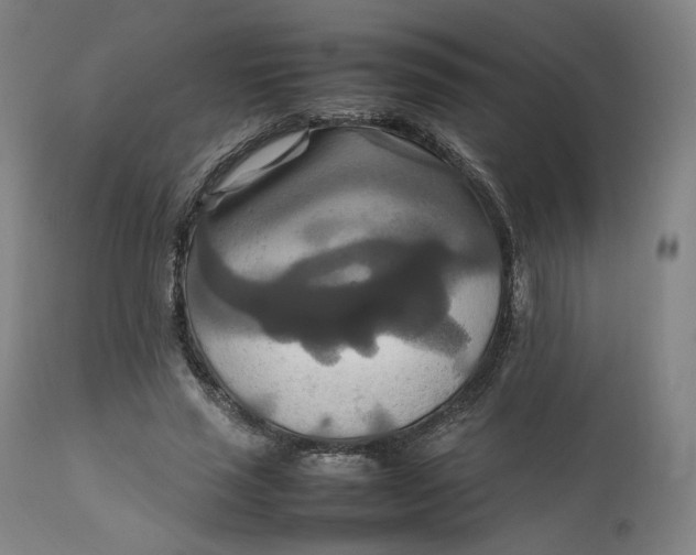 X0000111210637200907151438