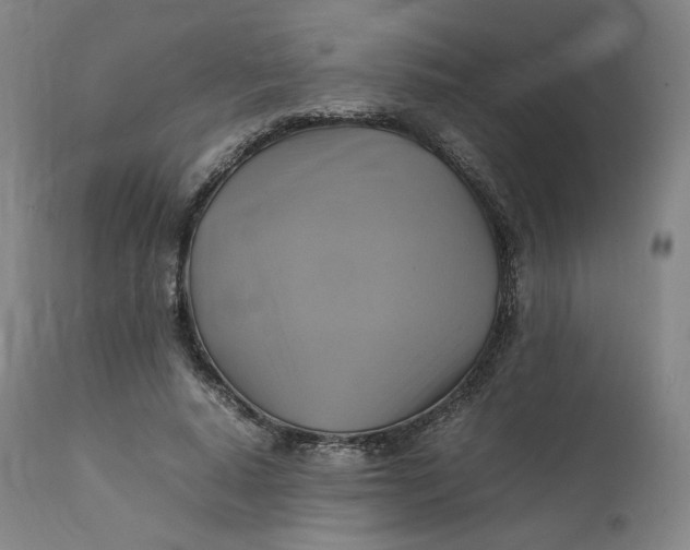 X0000111210640200907151438