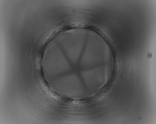 X0000111210641200907151438