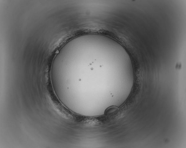 X0000111210642200907151438