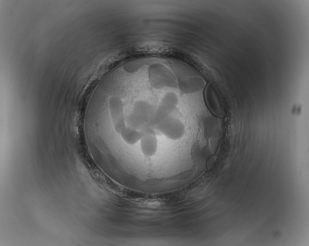 X0000111210643200907151438