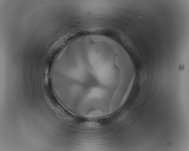 X0000111210644200907151438