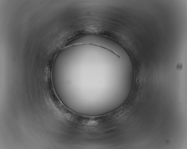 X0000111210647200907151438