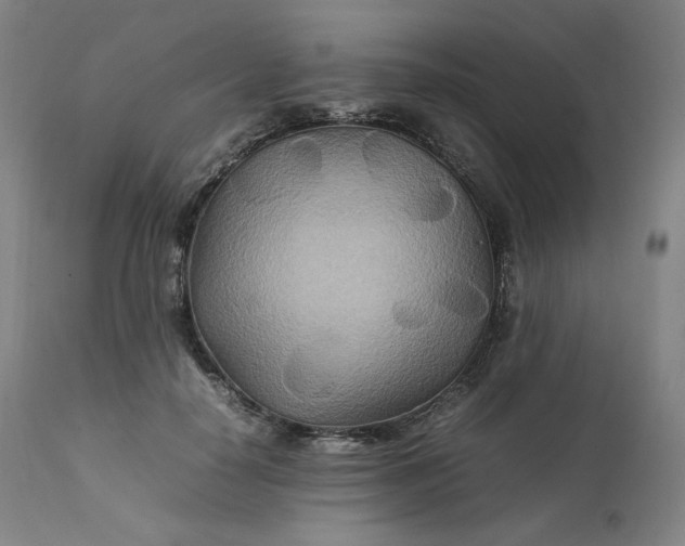 X0000111210650200907151438