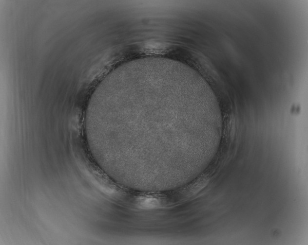 X0000111210655200907151439