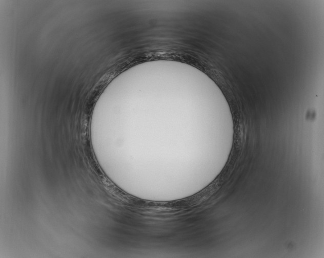 X0000111210657200907151439