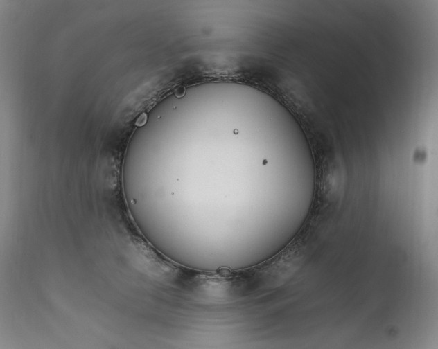 X0000111210658200907151439