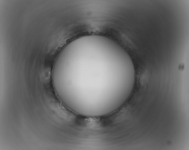 X0000111210660200907151439