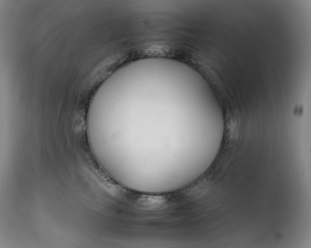 X0000111210665200907151439