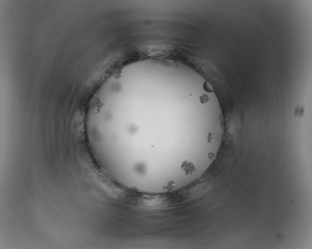 X0000111210667200907151439