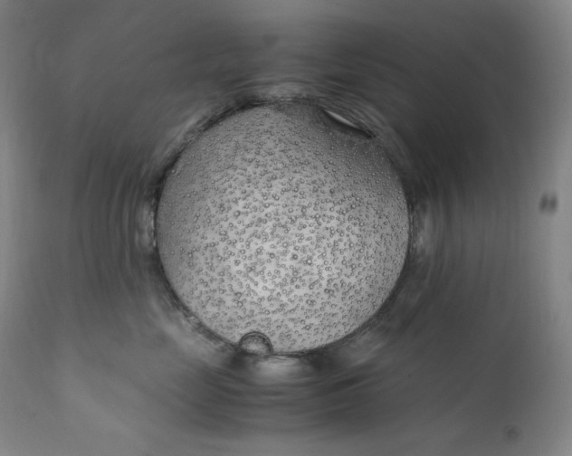 X0000111210669200907151439