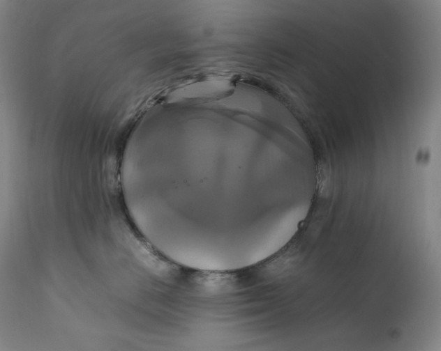 X0000111210670200907151439