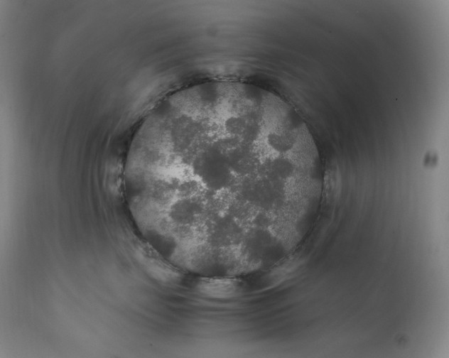 X0000111210671200907151439