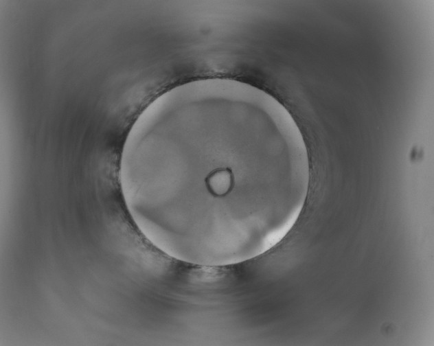 X0000111210672200907151439