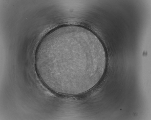 X0000111210673200907151438