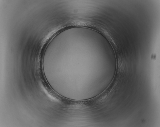 X0000111210674200907151438