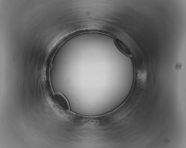 X0000111210676200907151438