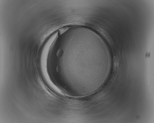 X0000111210677200907151438