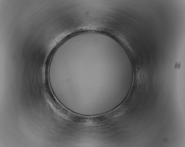 X0000111210678200907151438