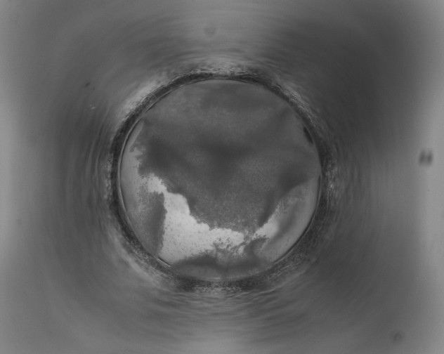 X0000111210679200907151438