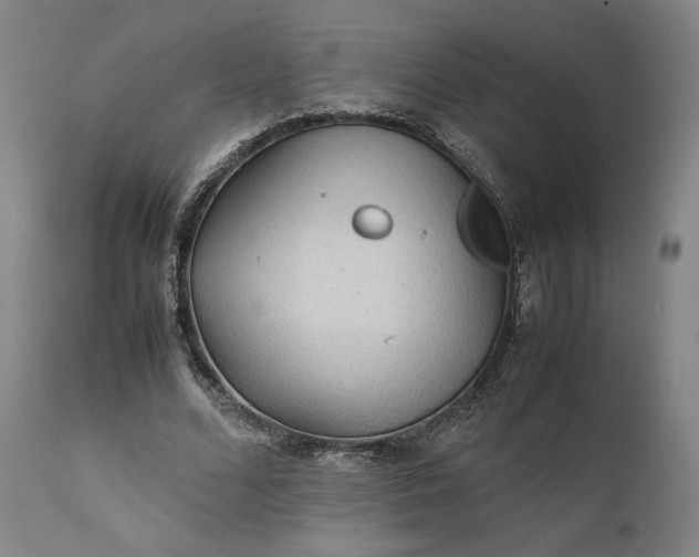 X0000111210680200907151438