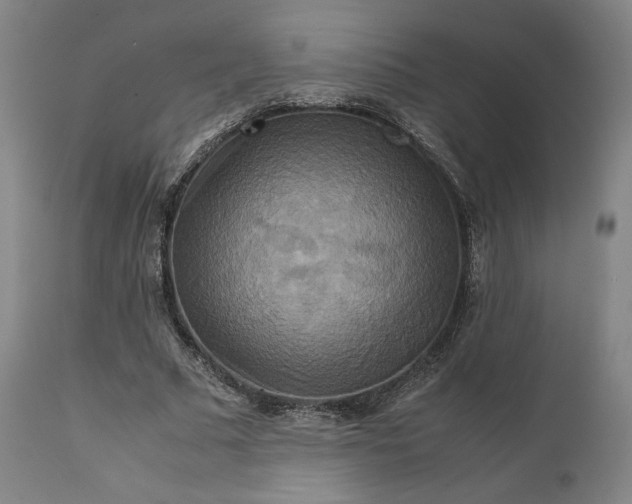 X0000111210681200907151438