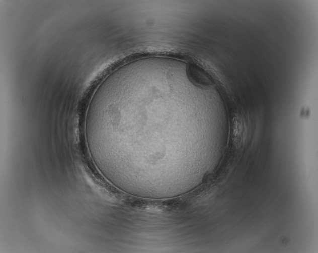 X0000111210684200907151438