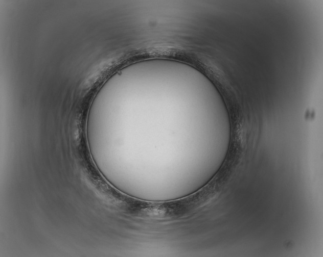 X0000111210687200907151438