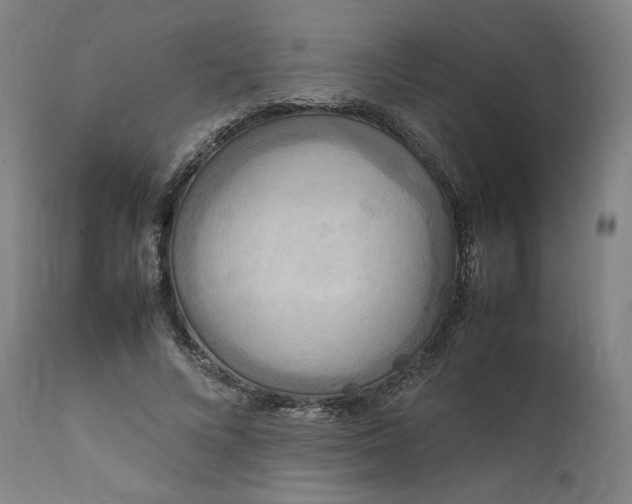 X0000111210688200907151438