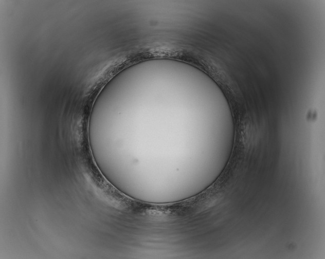 X0000111210690200907151438