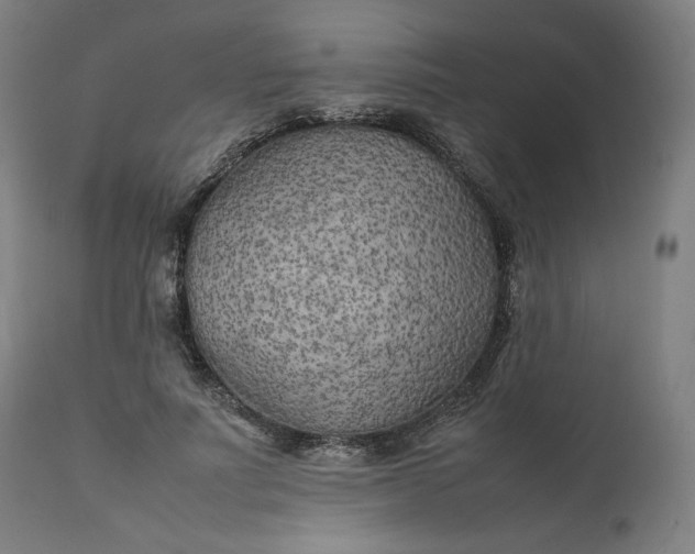 X0000111210691200907151438