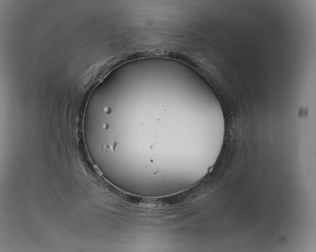 X0000111210693200907151438