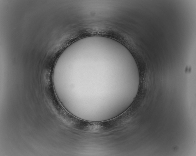 X0000111210695200907151438