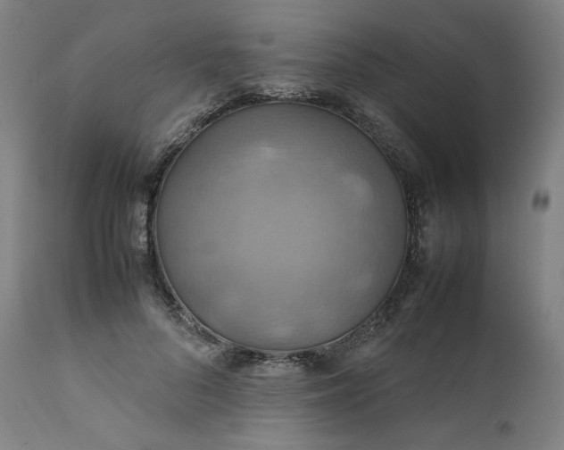 X0000111210696200907151438