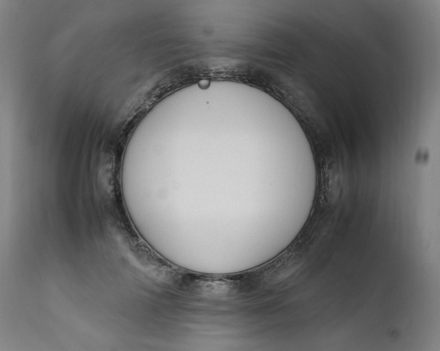 X0000111210698200907151438