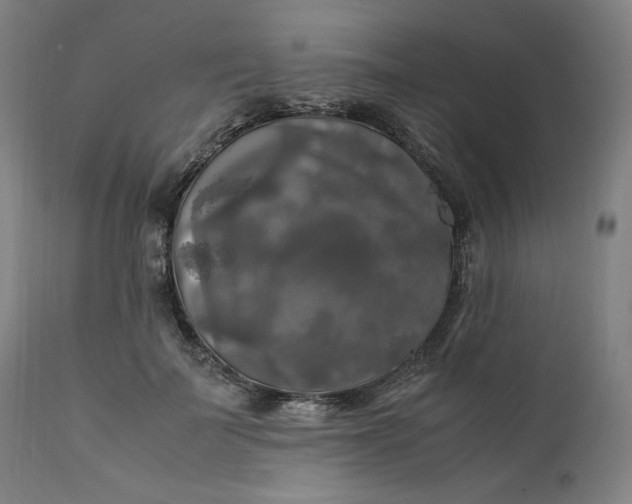 X0000111210699200907151438