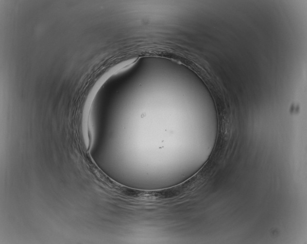 X0000111210701200907151438