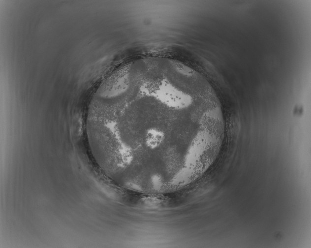 X0000111210703200907151438