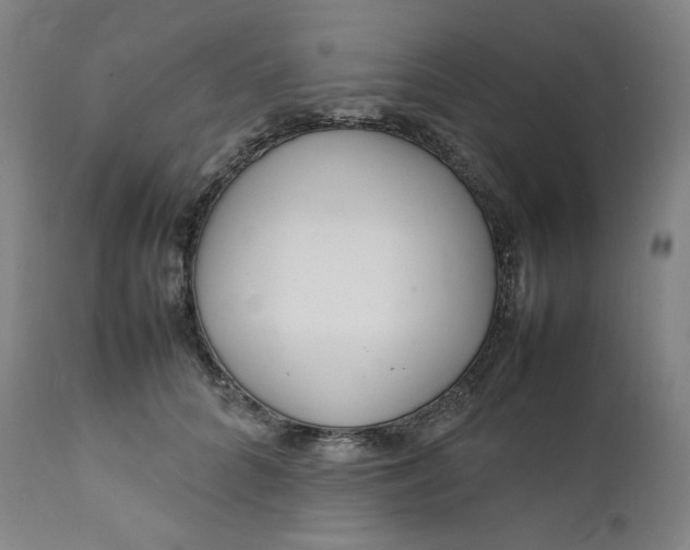 X0000111210704200907151438