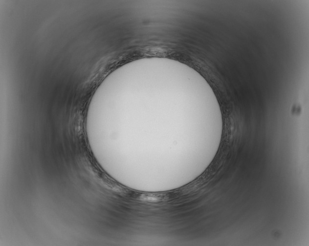 X0000111210706200907151438