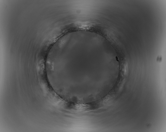 X0000111210707200907151438