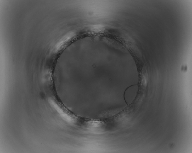 X0000111210711200907151437