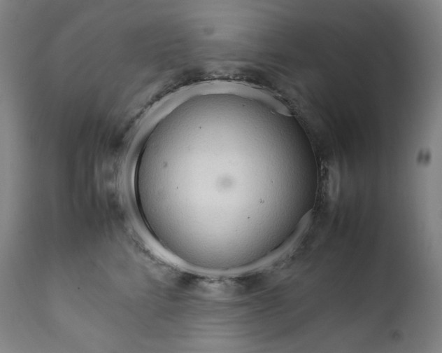 X0000111210712200907151437